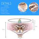 Horn Pantie - Grumpy Glasses Caticorn (6-10 UK Size) - Kukubird_UK